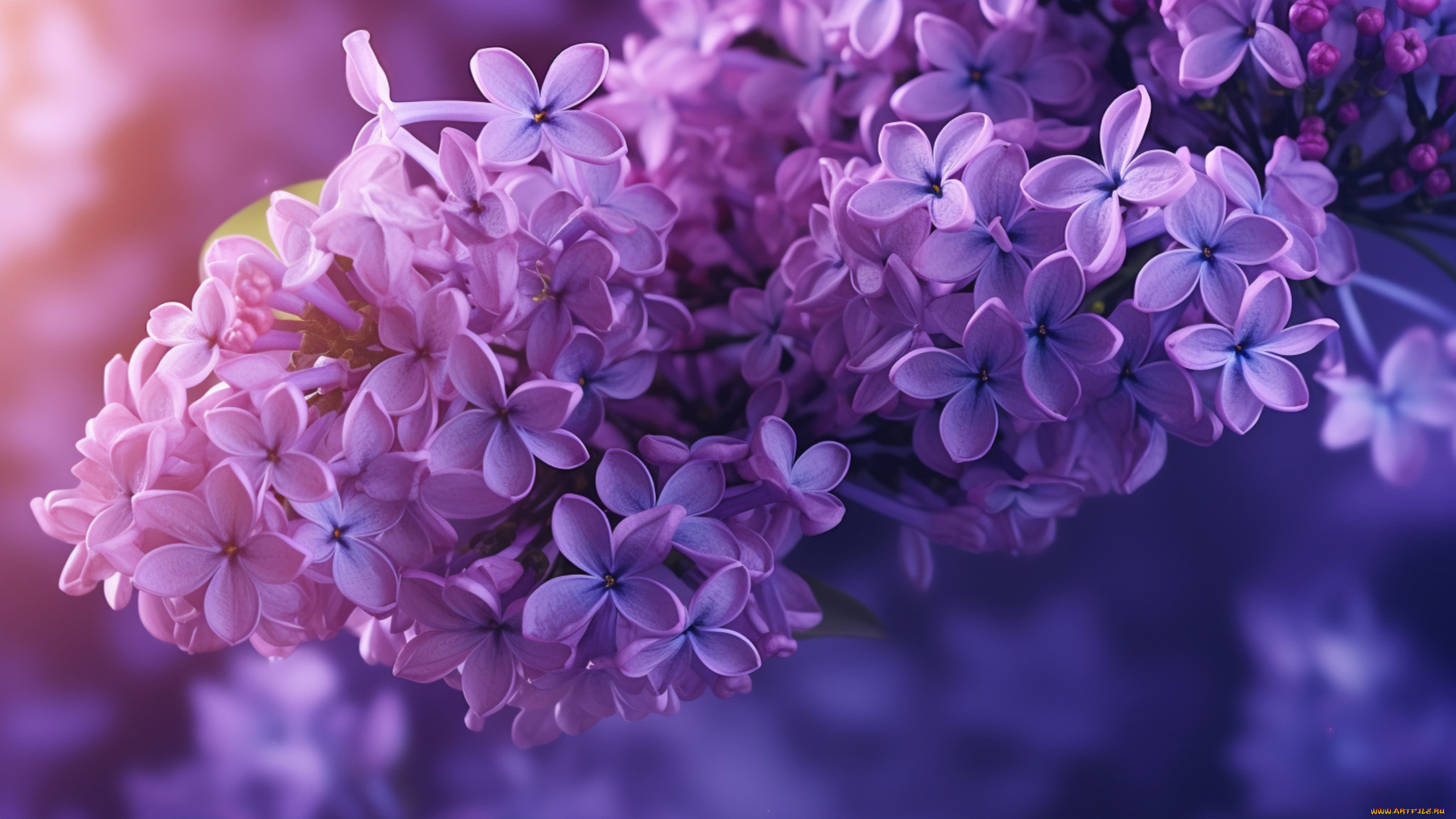 3 ,  , flowers, , , , 
